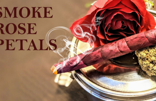 Rose-petals-smoking